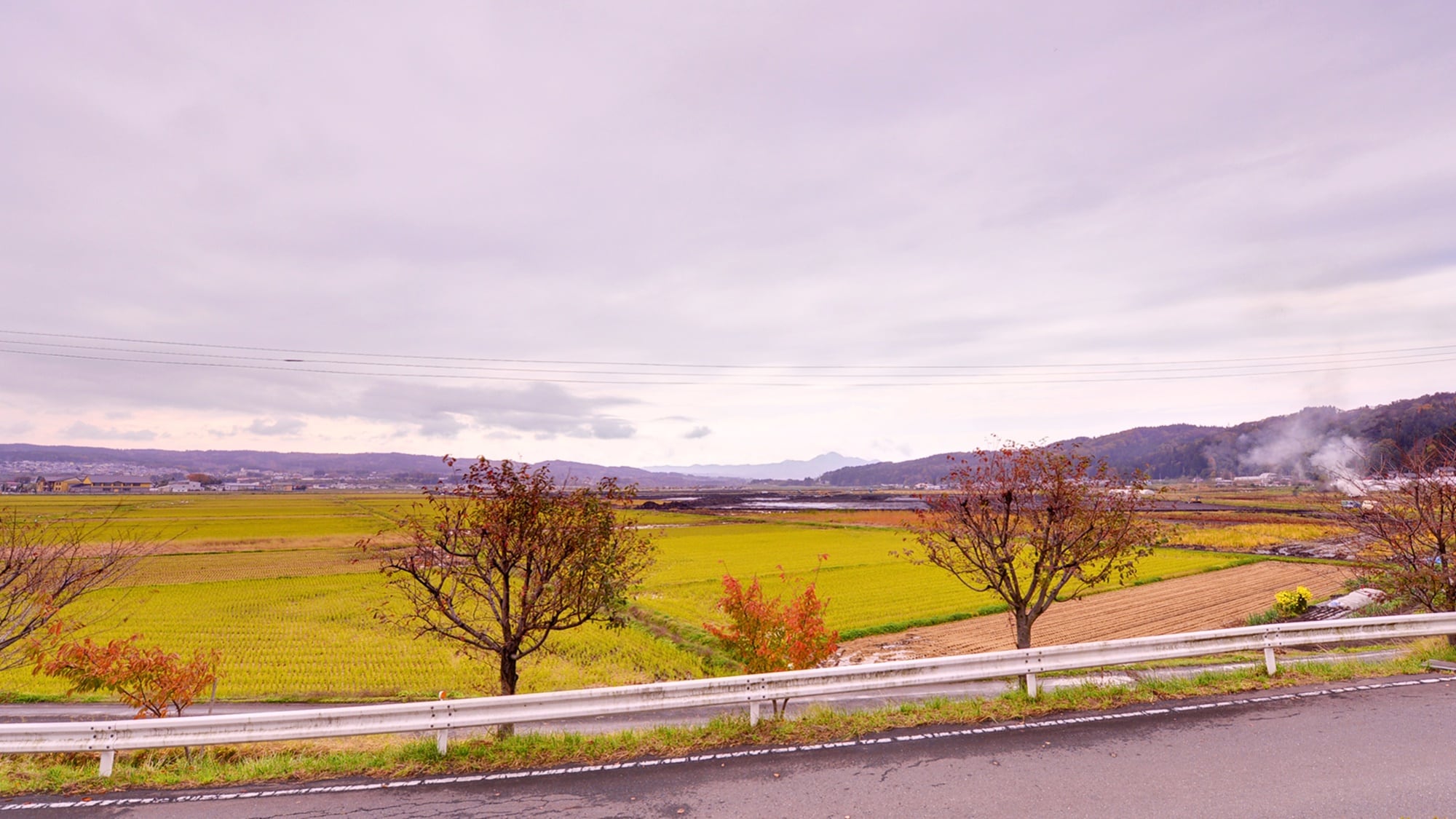 * Landscape from the guest room