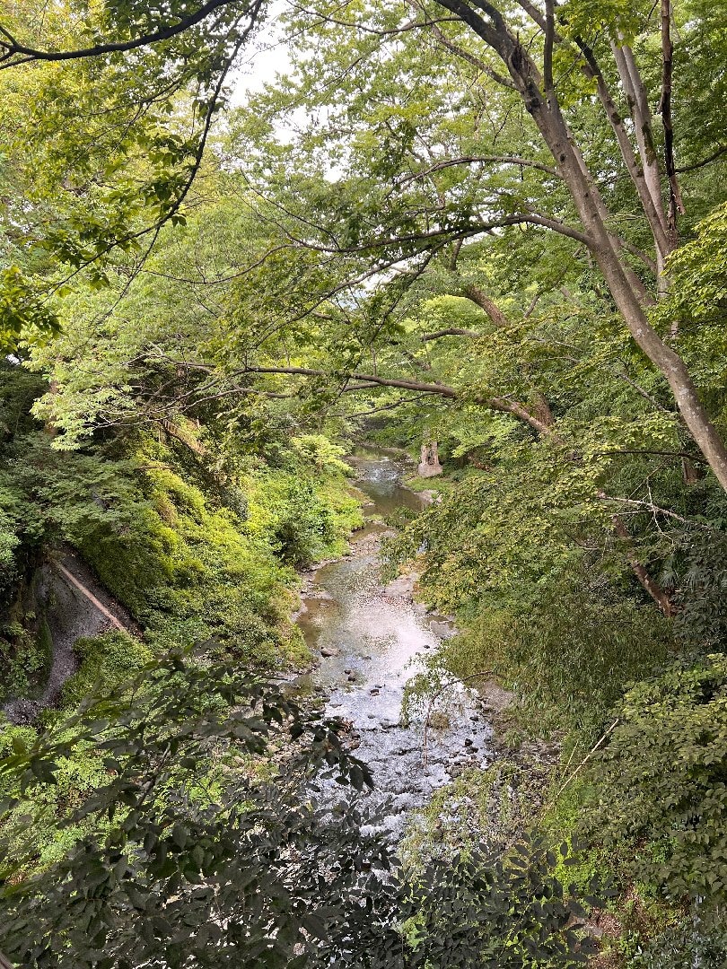 41F1E50C-937D-4DEB-BD10-99FAFD9B0D08.jpeg