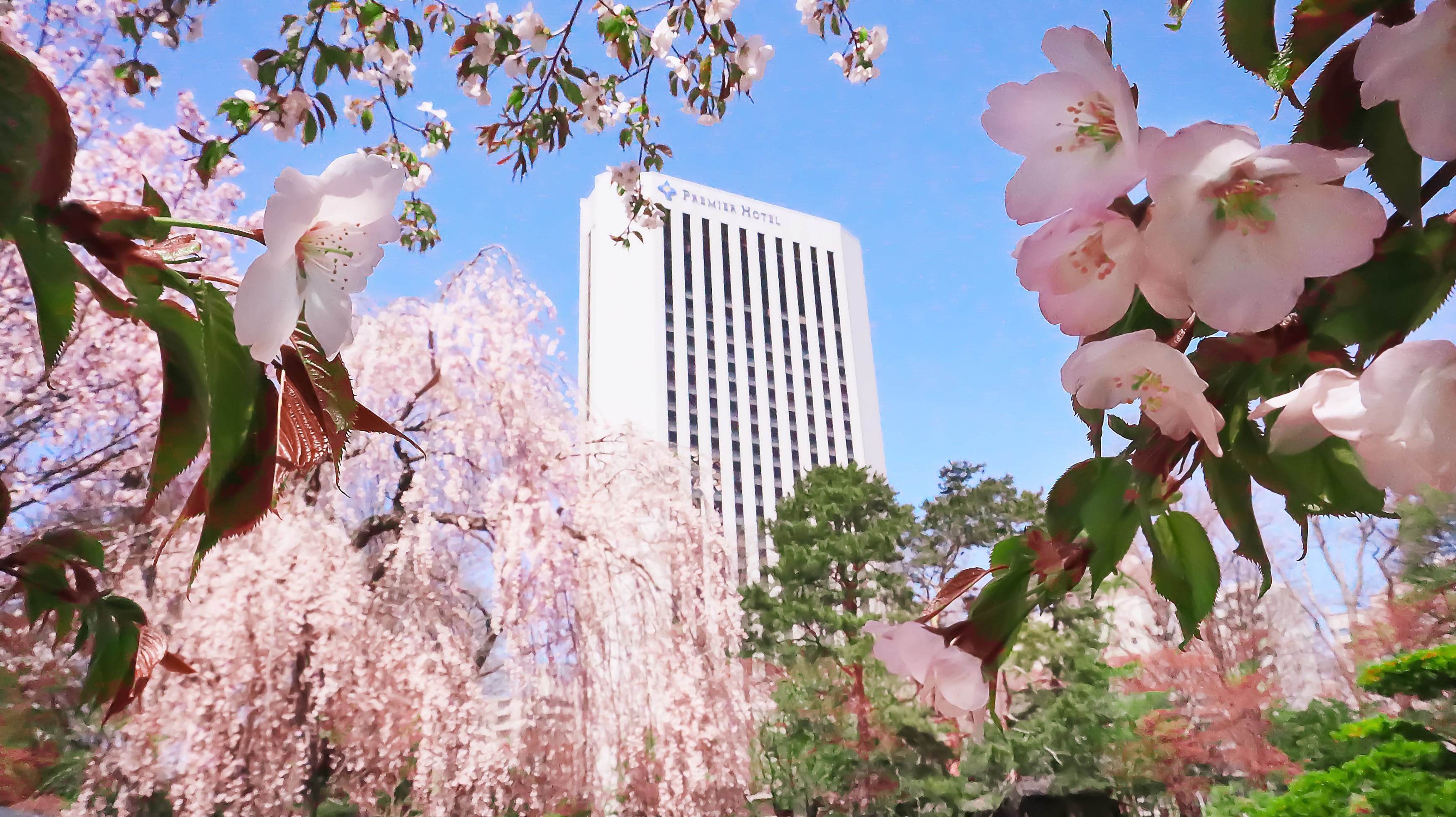 外観【春・桜】