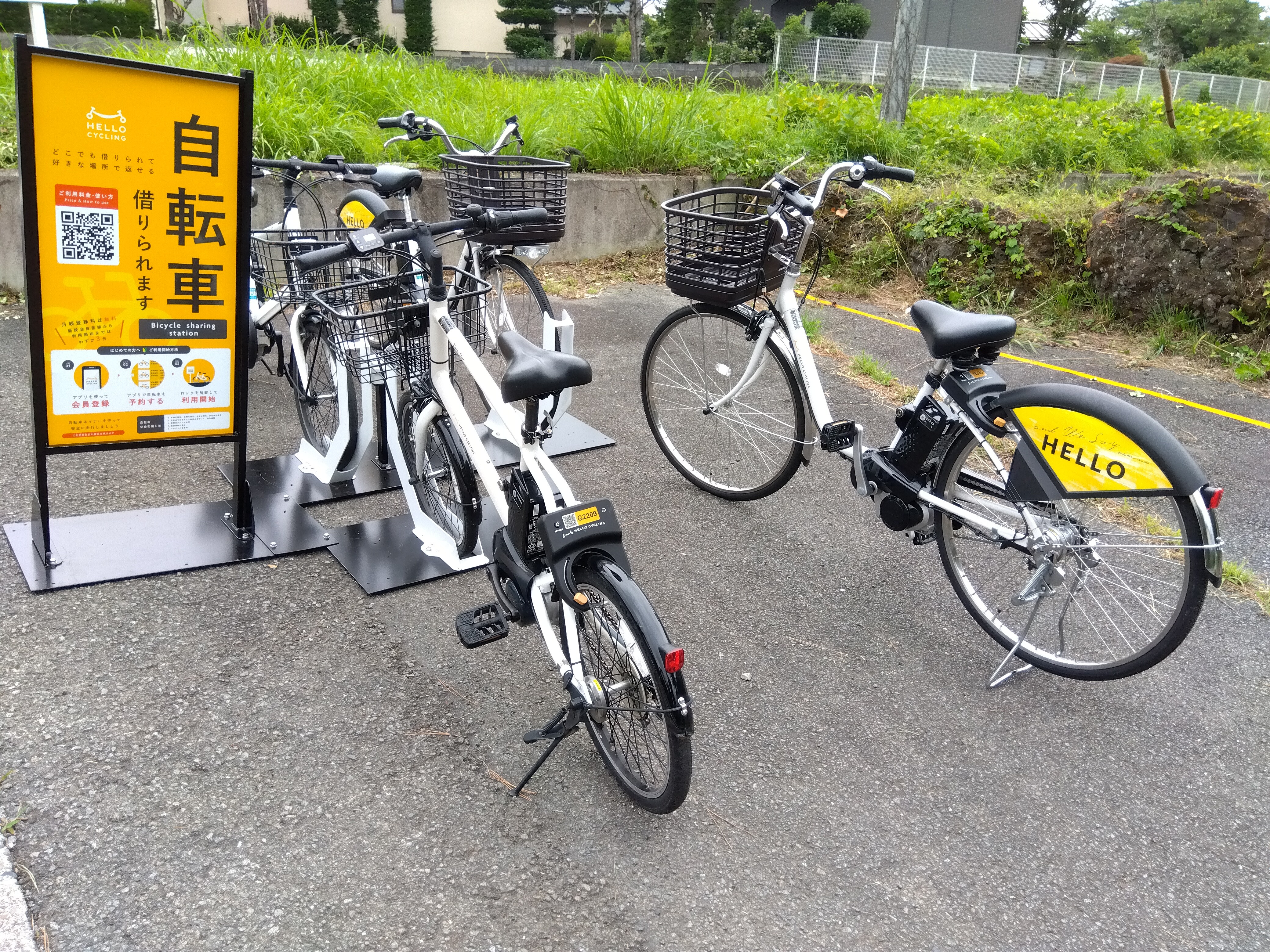 Bicycle rental