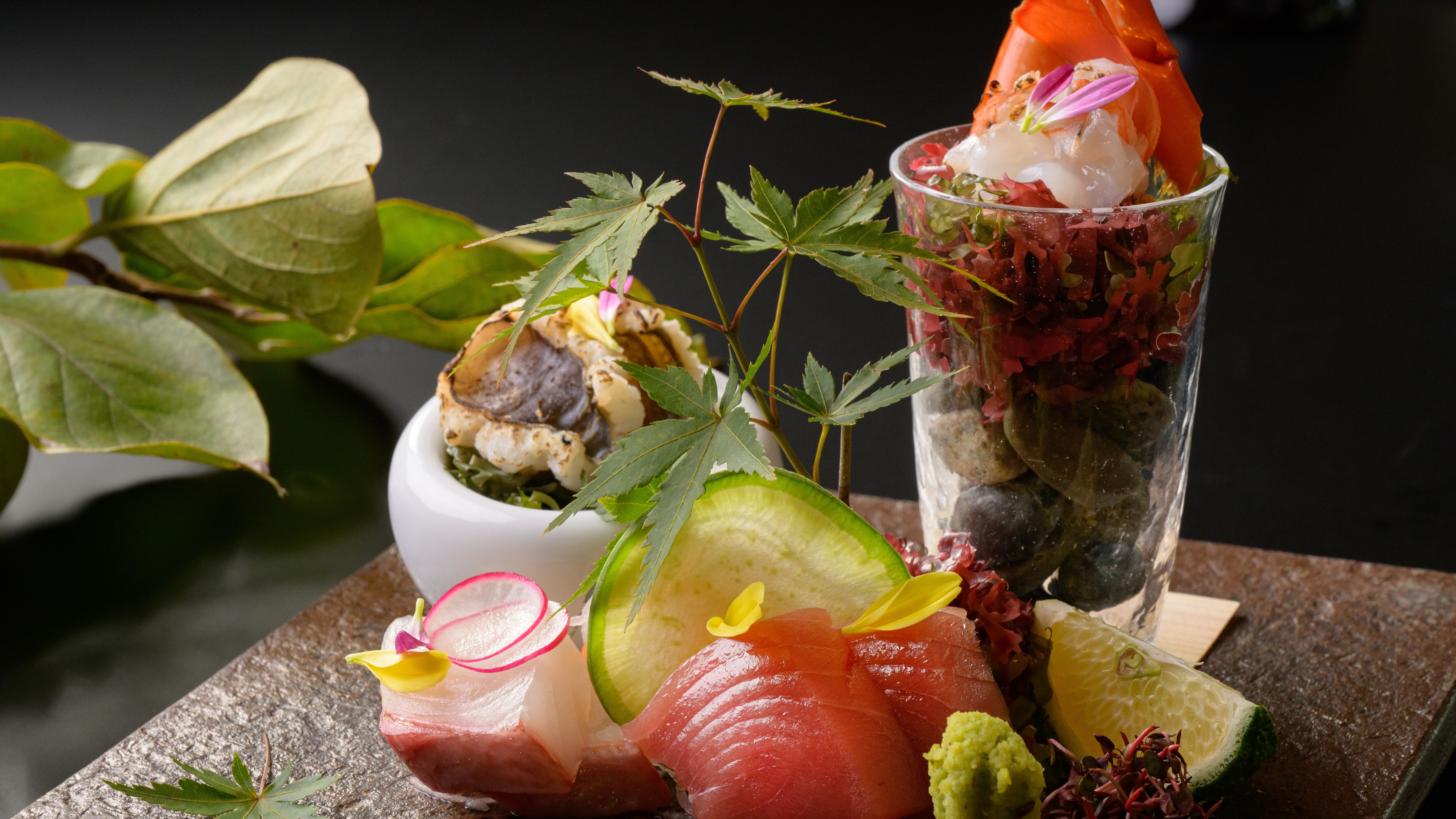 [Kumano Club] ฤดูใบไม้ร่วงปี 2025 "Miketsukuni" วันนี้ซาชิมิ