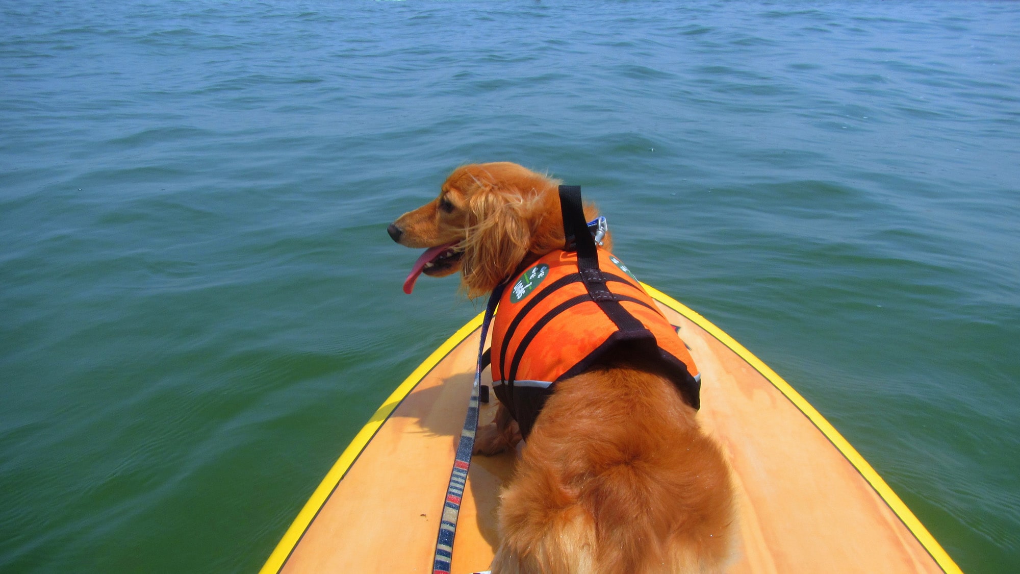 #SUP experience