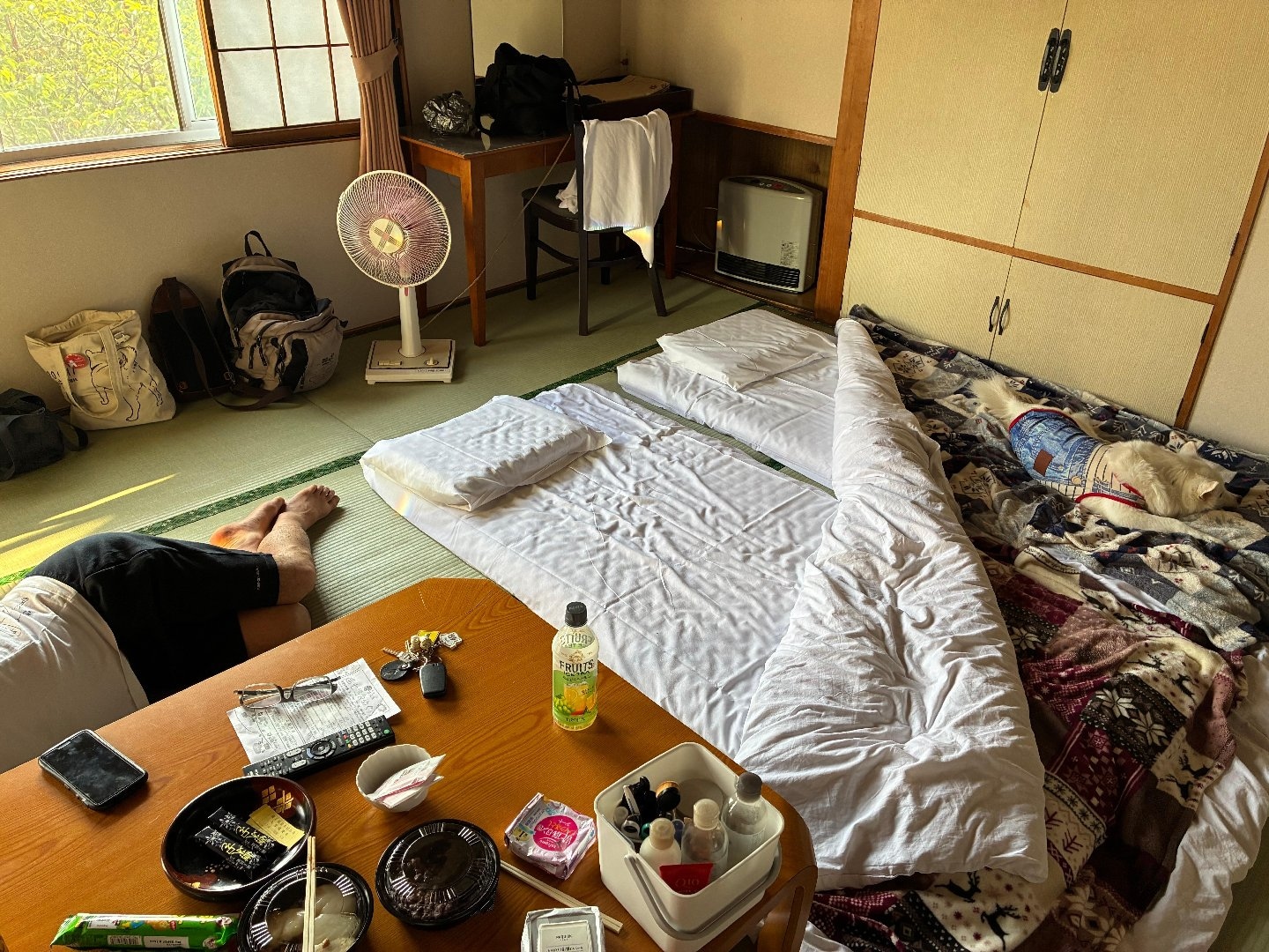 IMG_4511.jpeg