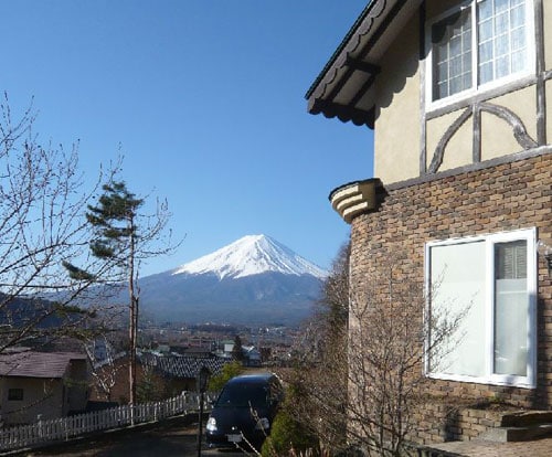 Appearance image