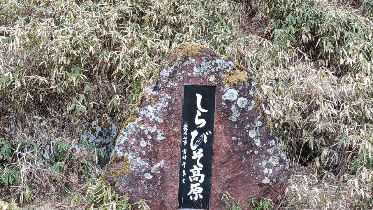 1000002802.jpg
