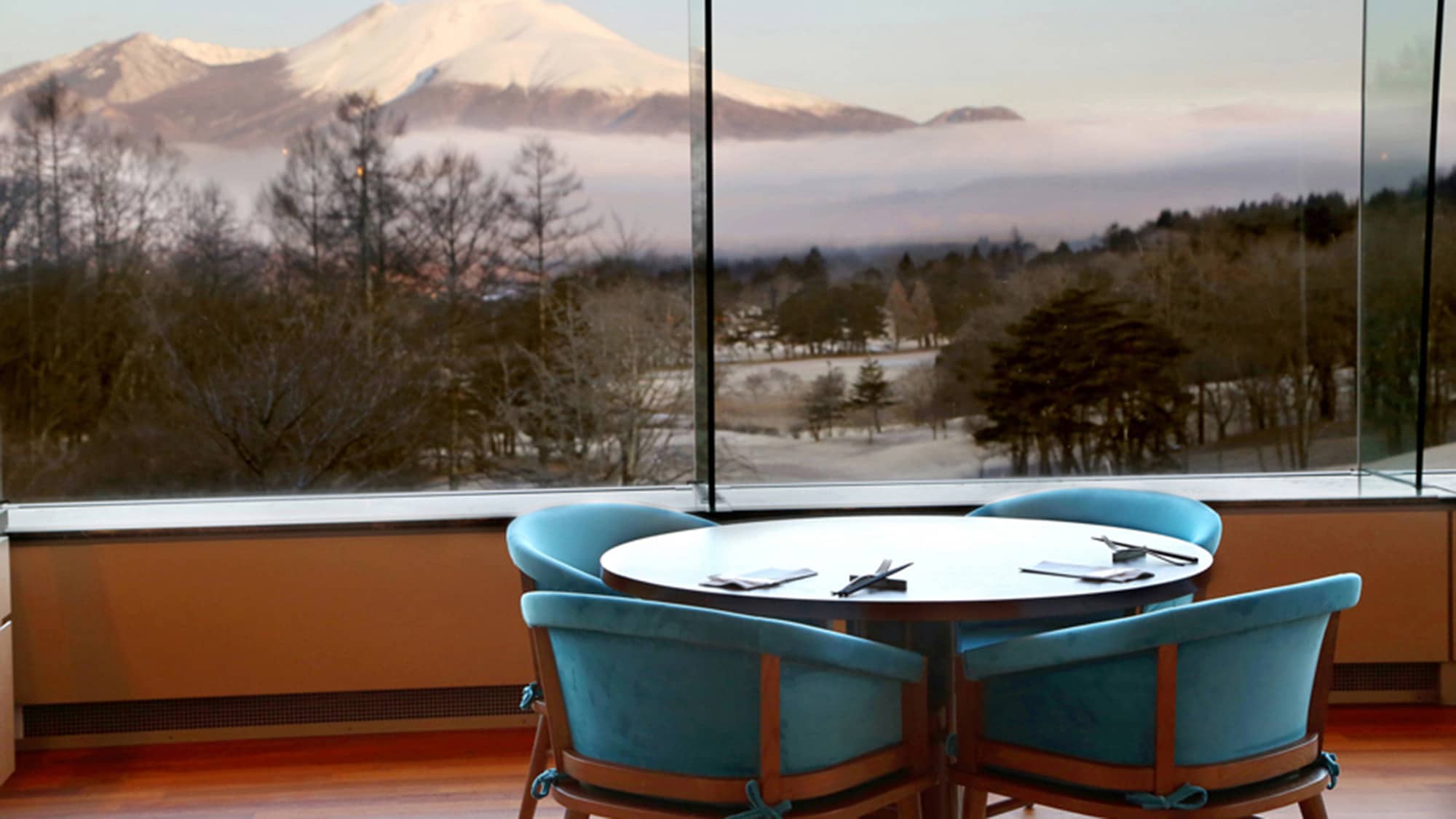 Dining Bloom (Winter)