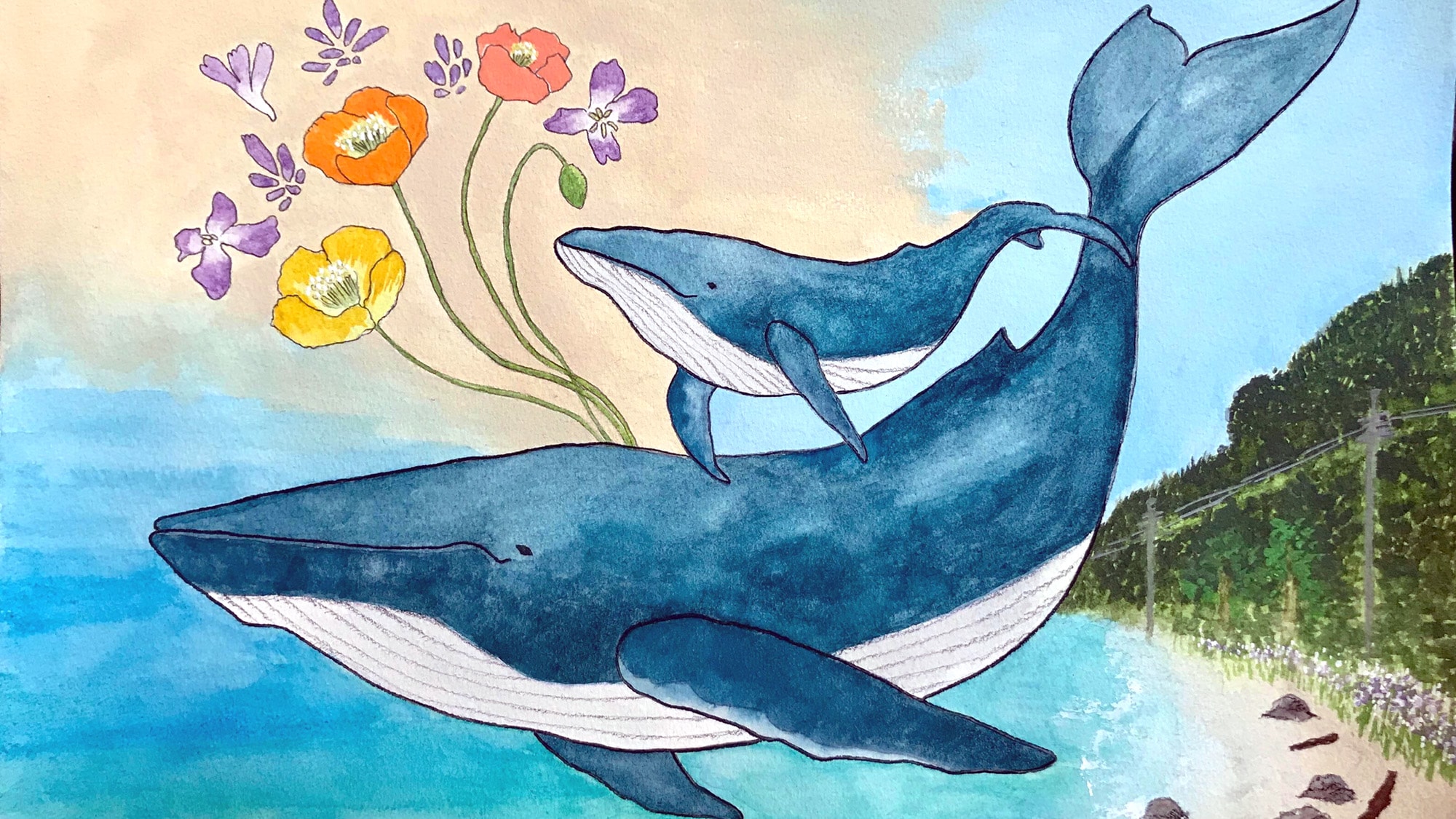 欢迎来到 Oasis Wadaura!