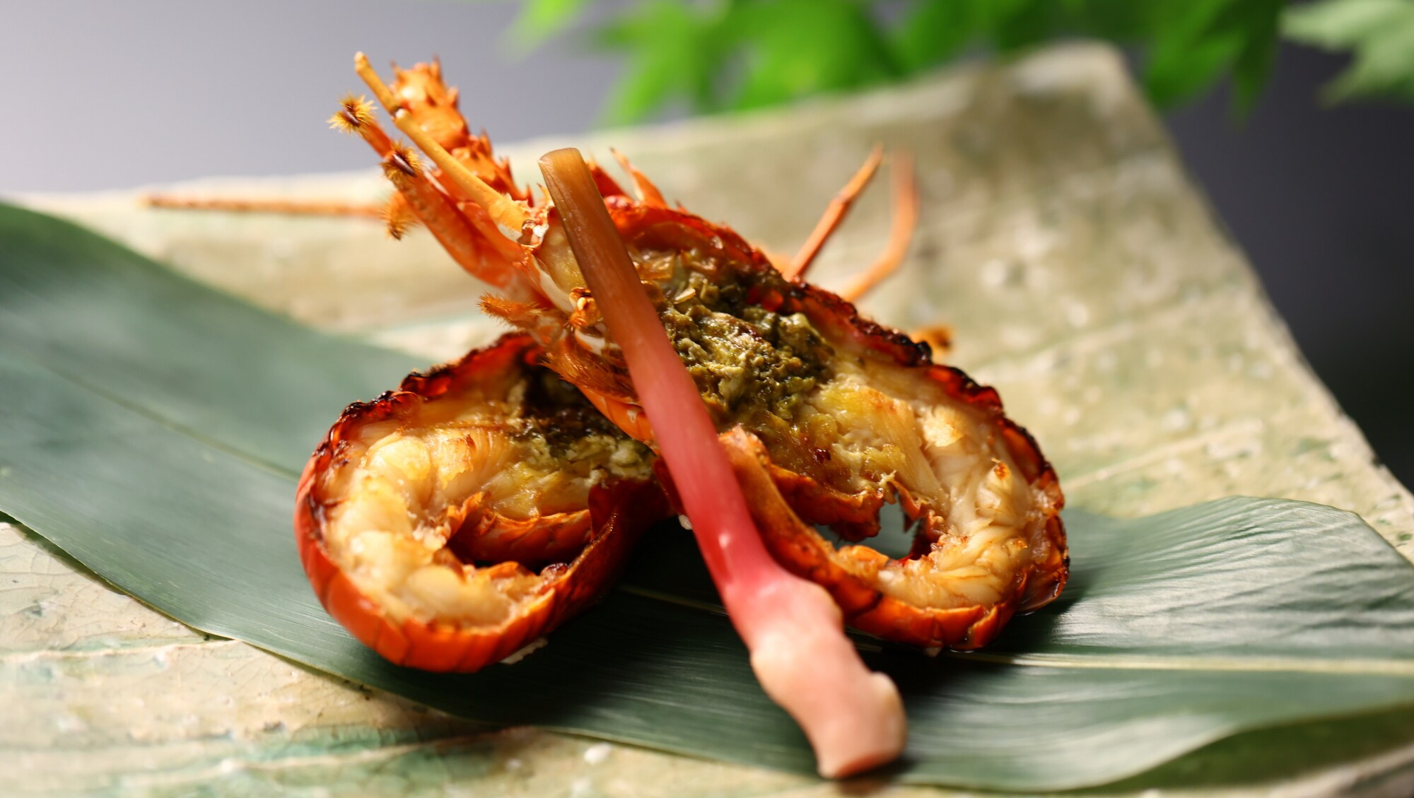 新鲜多刺龙虾以浓郁的香味和大胆的风格烤制而成（如图所示）。