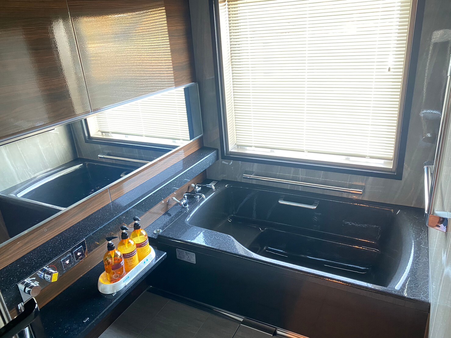 Suite room (bathroom)