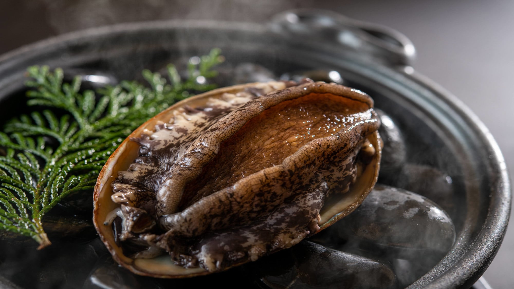 Steamed abalone in sake