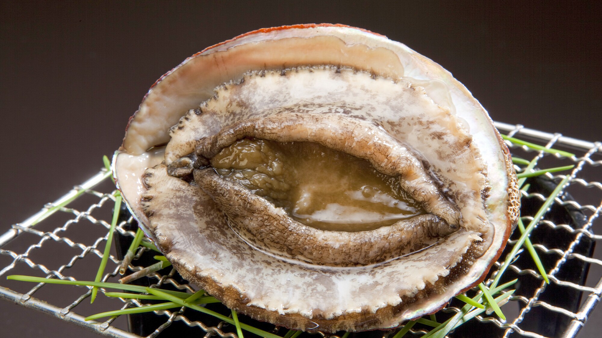 [Grilled Abalone]