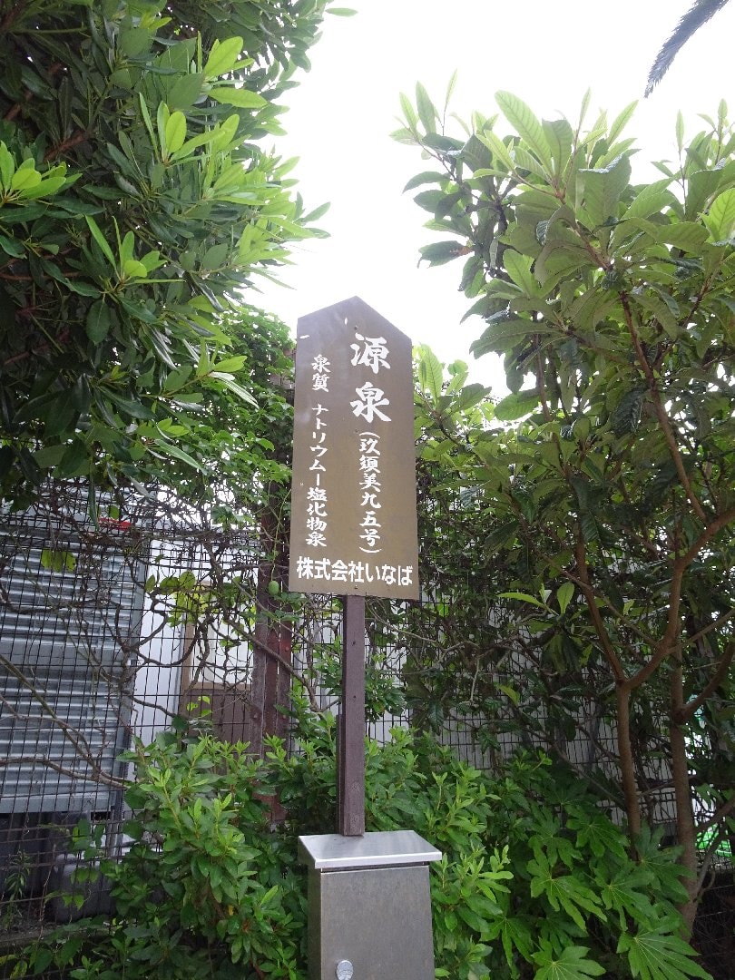 DSC04298.JPG