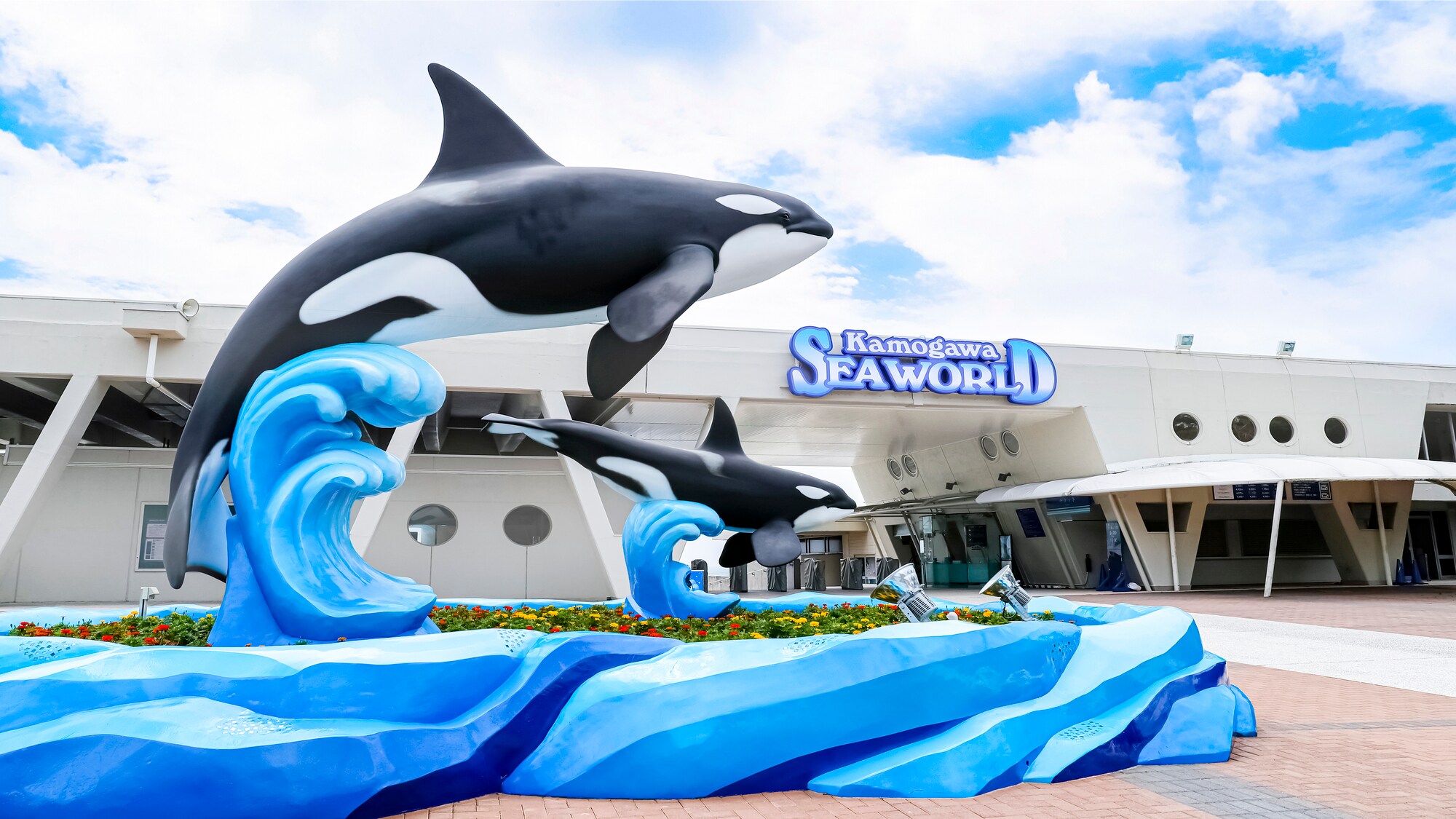 [Nearby attractions: Kamogawa Sea World] 30 minutes by car from our hotel.