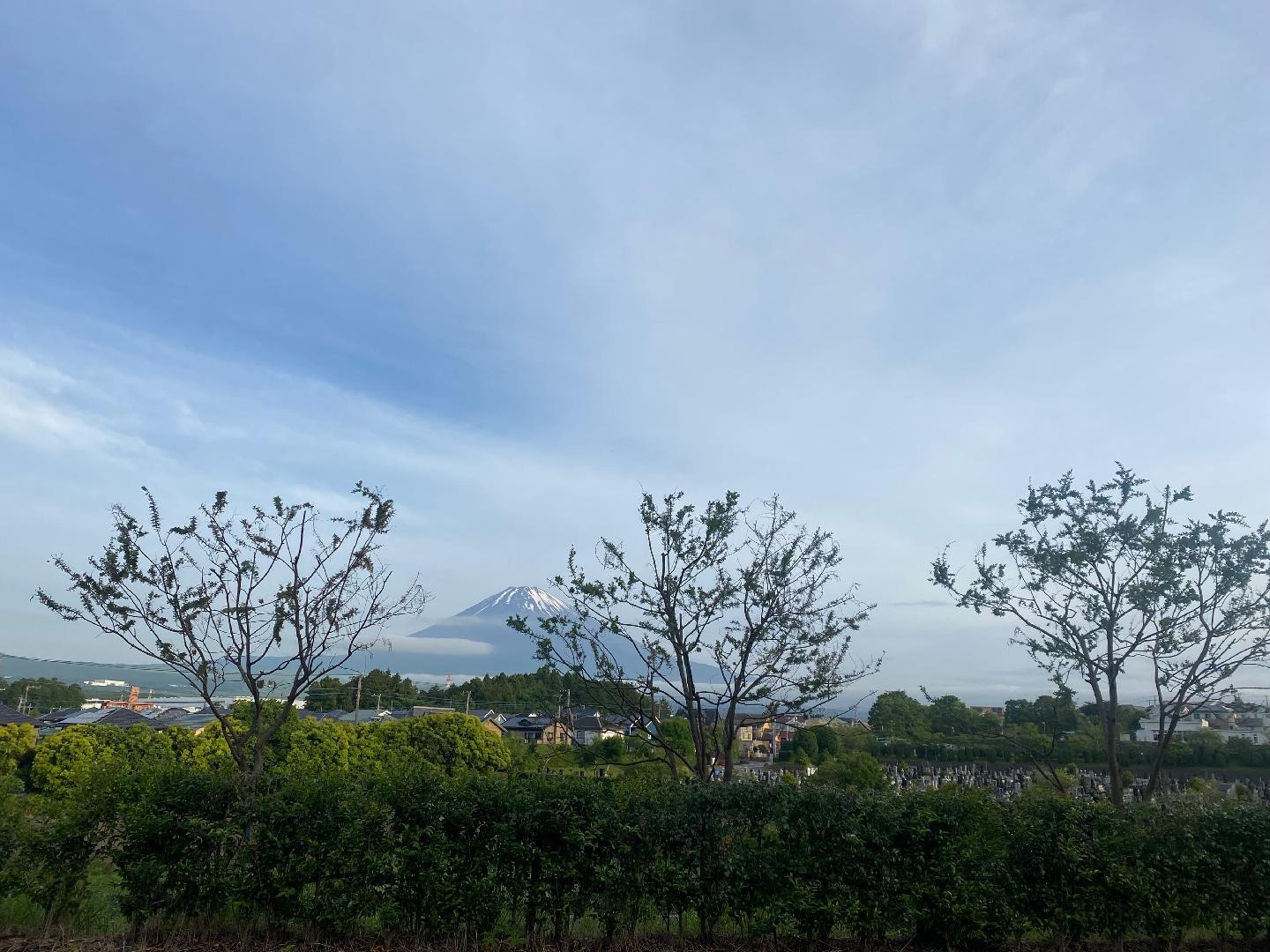 11121F3C-3E54-420A-A30B-C4B54424A7FB.jpeg