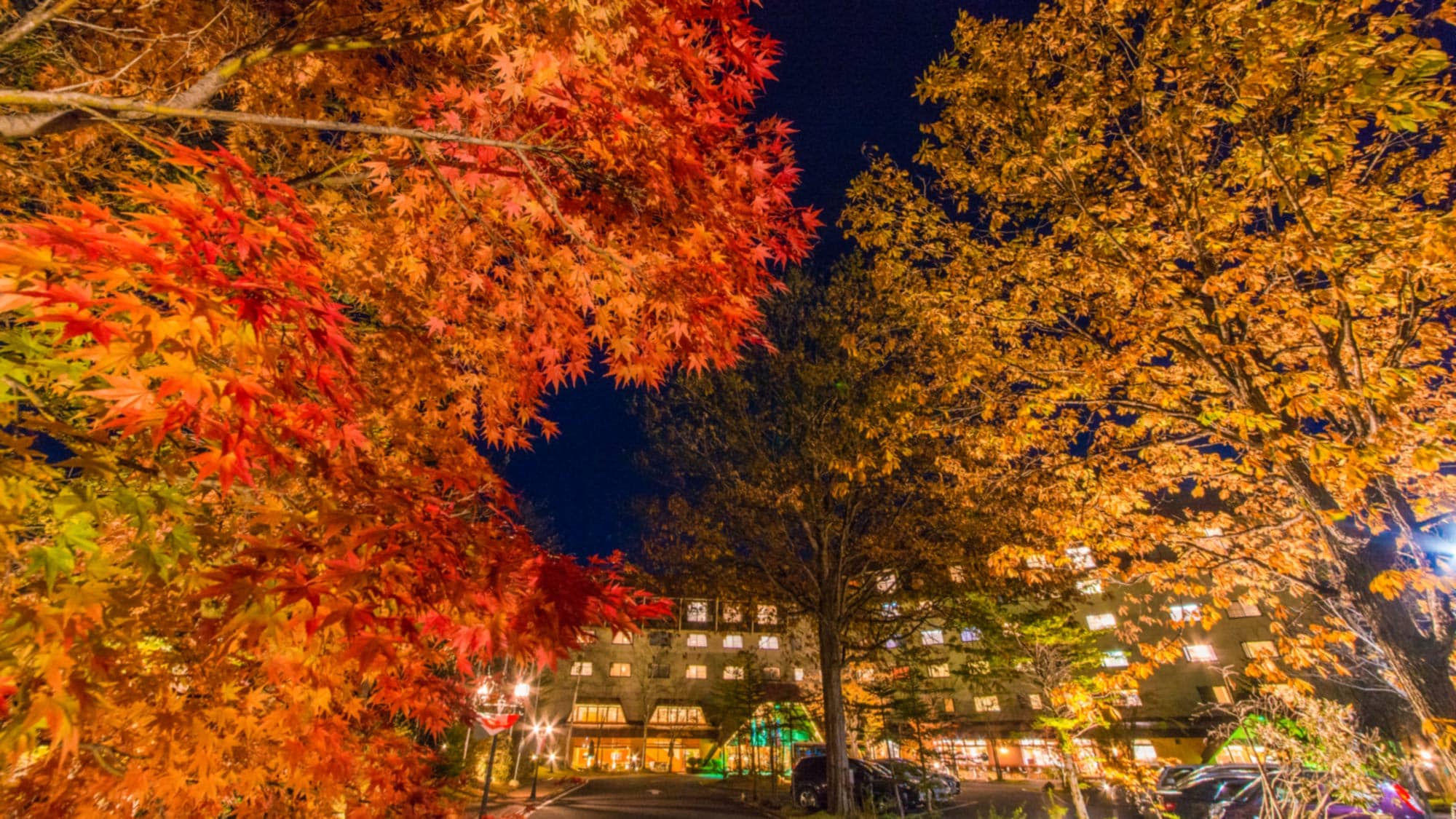 Appearance / Autumn
