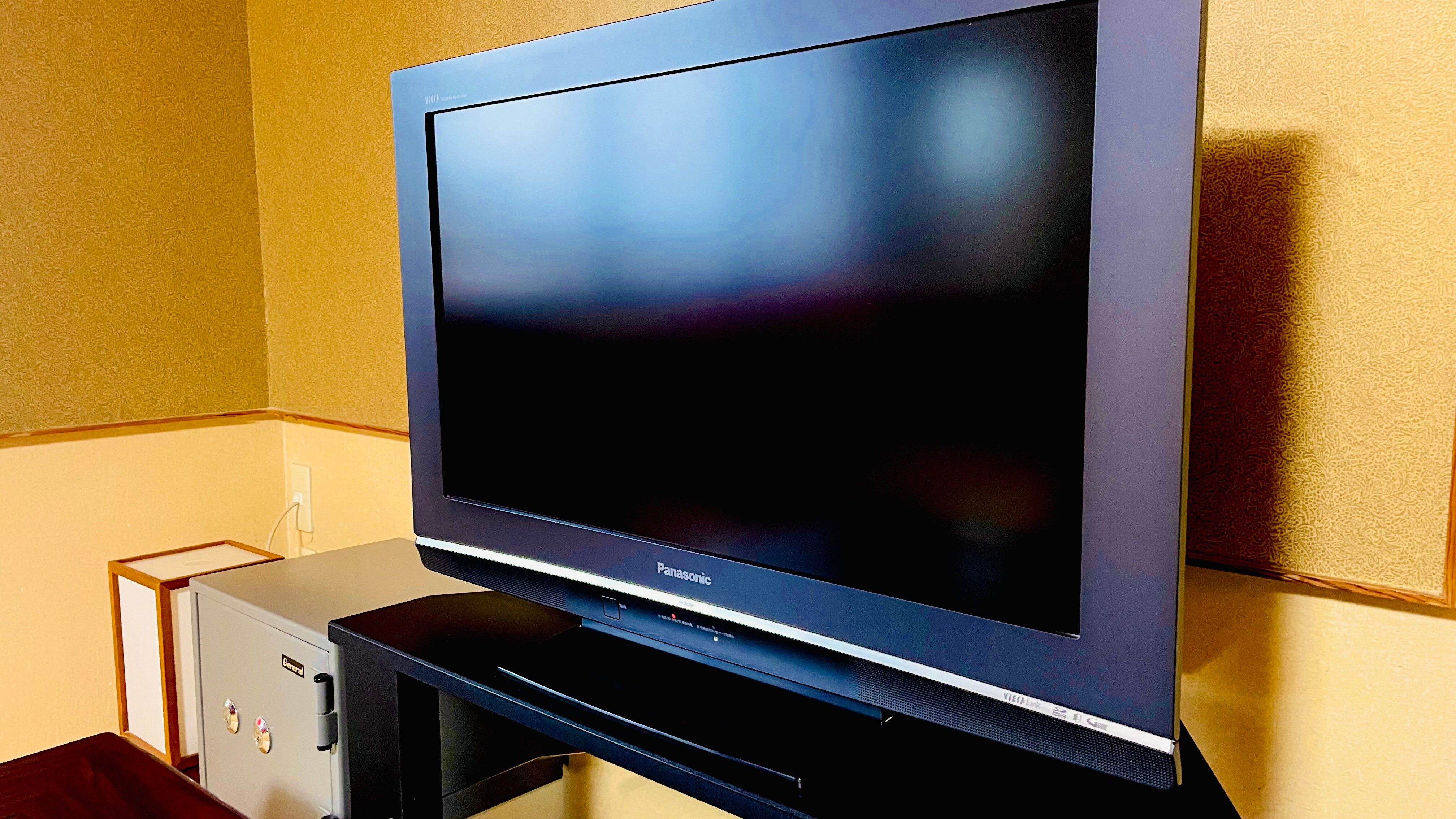 [Japanese-style room with special conditions] Guest room TV