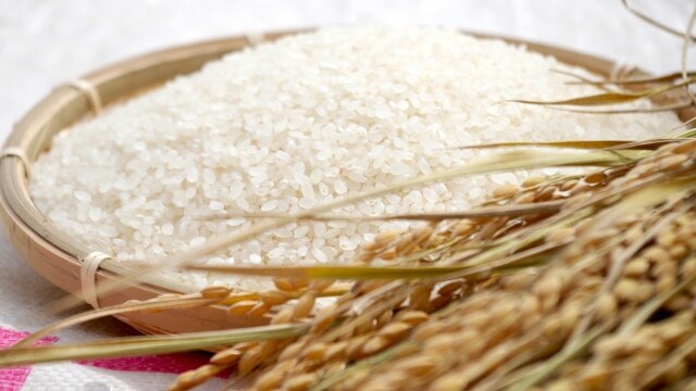 詳細信息 10_rice