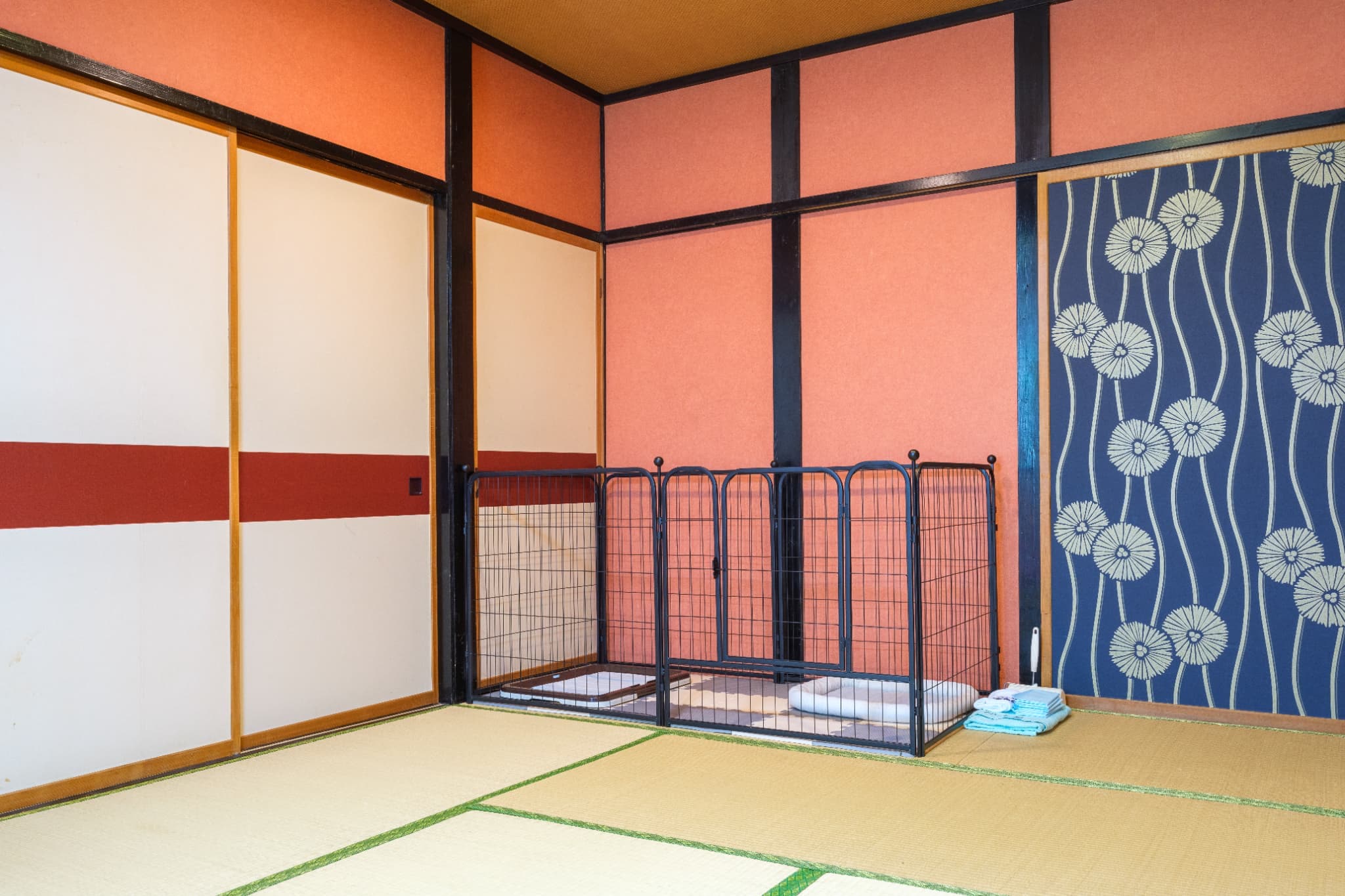 Pet room