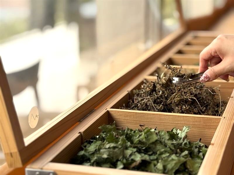 奈良可选药用草本植物