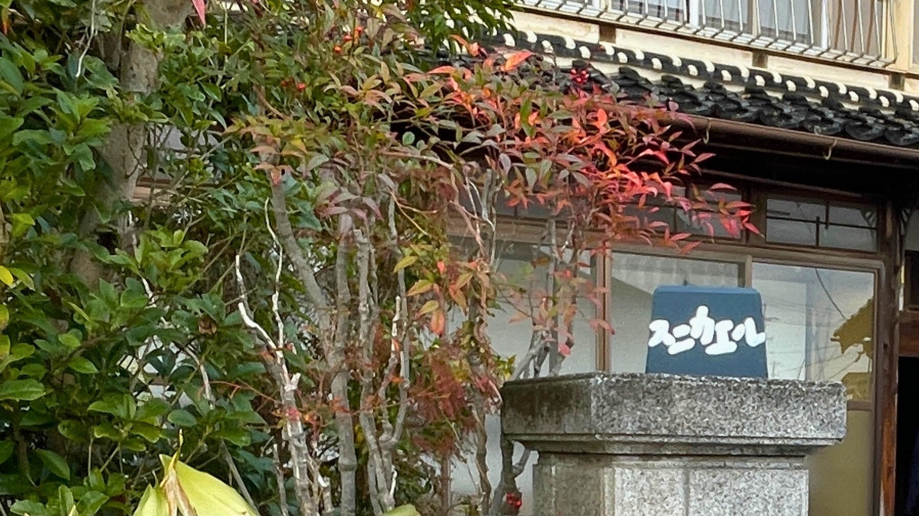 ◆Look for the small sign