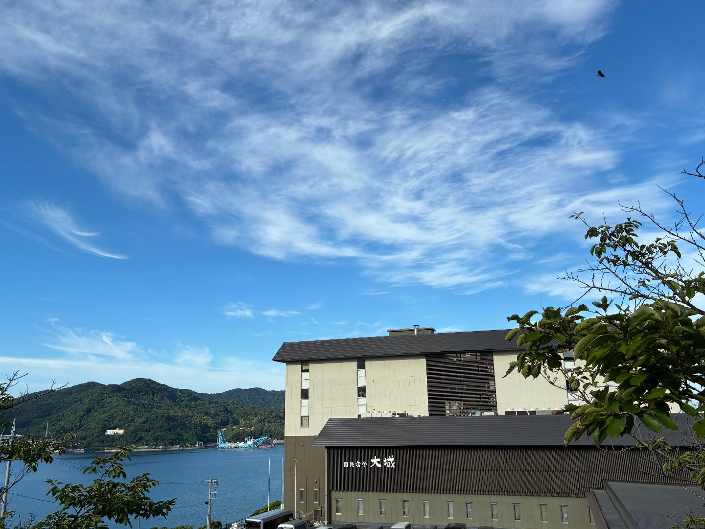 C9D2E792-12F7-4CCB-B71B-D7E4151E1A83.jpeg