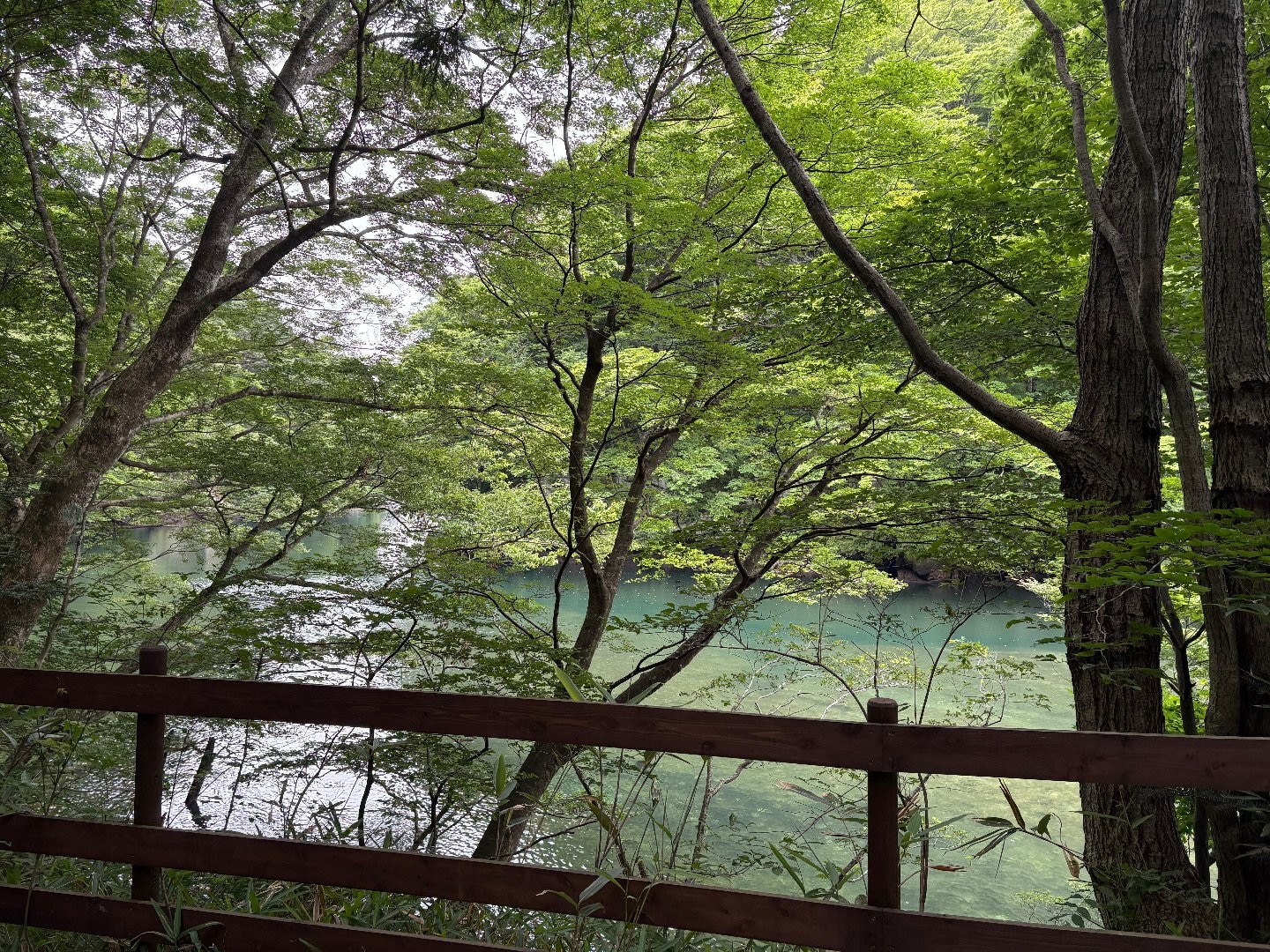 9217AA85-D016-43C6-9D9A-016190BB96CC.jpeg