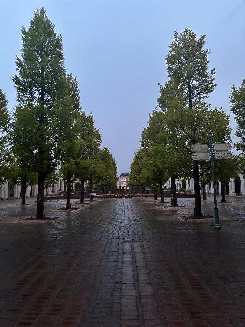 IMG_0880.jpeg
