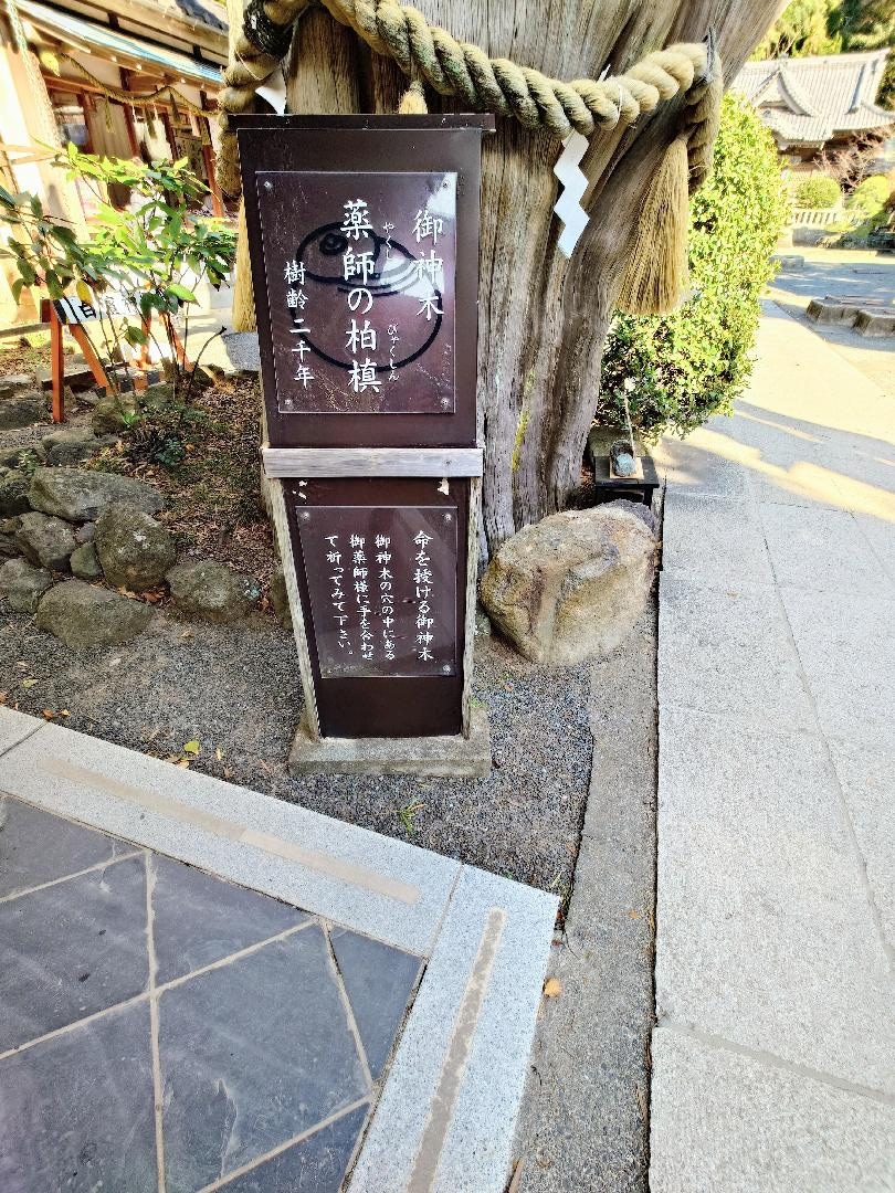20260111 白濱神社御神木薬師の柏槙の銘板.JPG