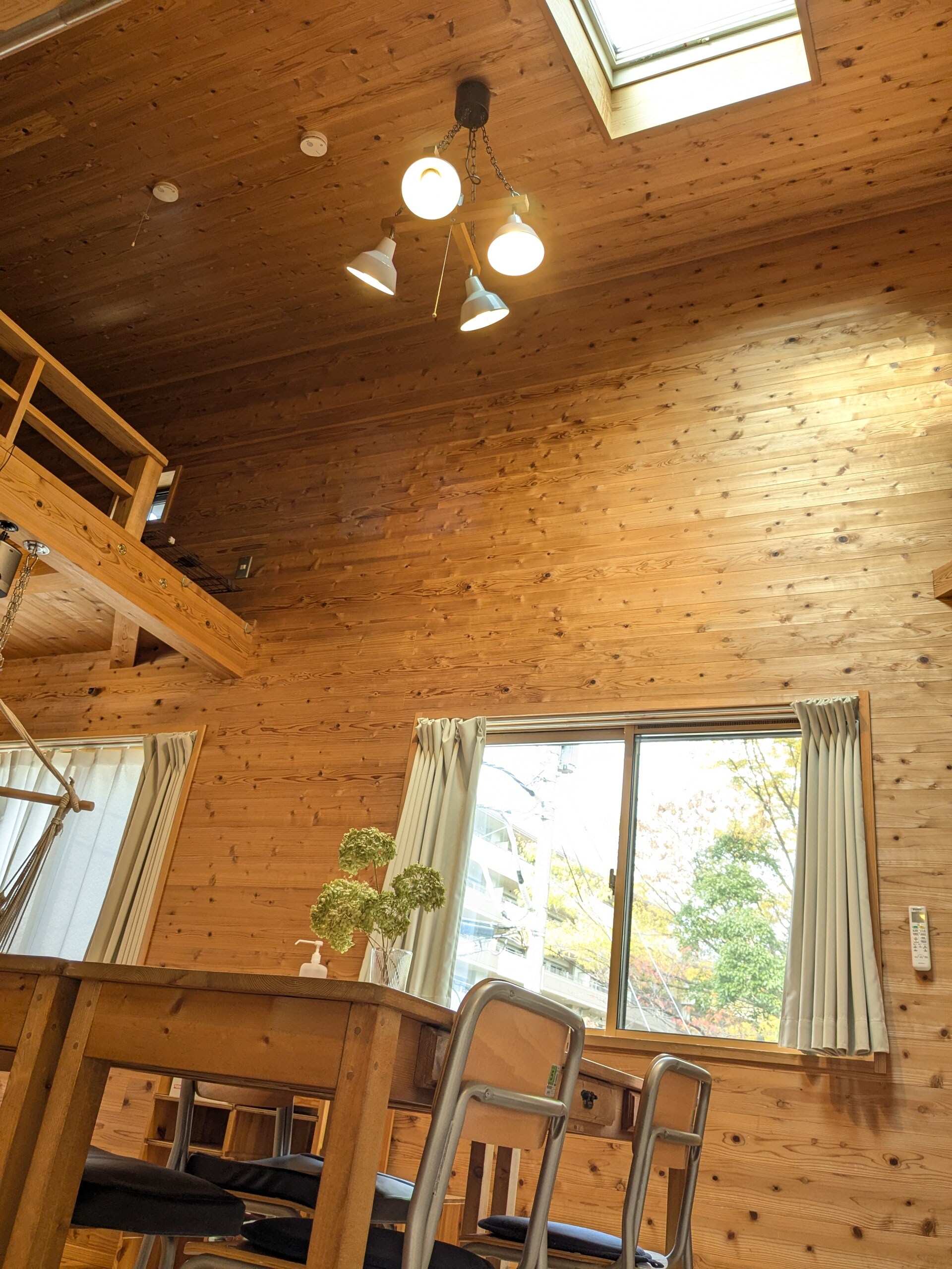 Living/dining room