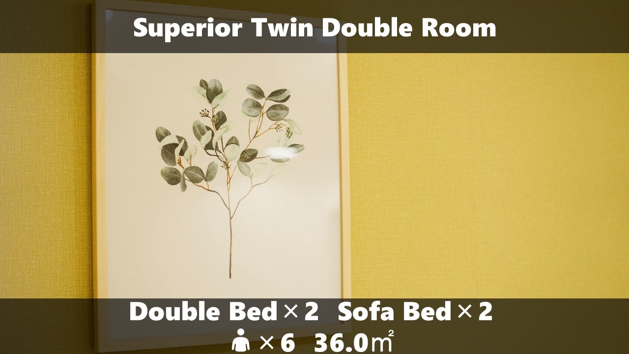 Superior Twin Double Room