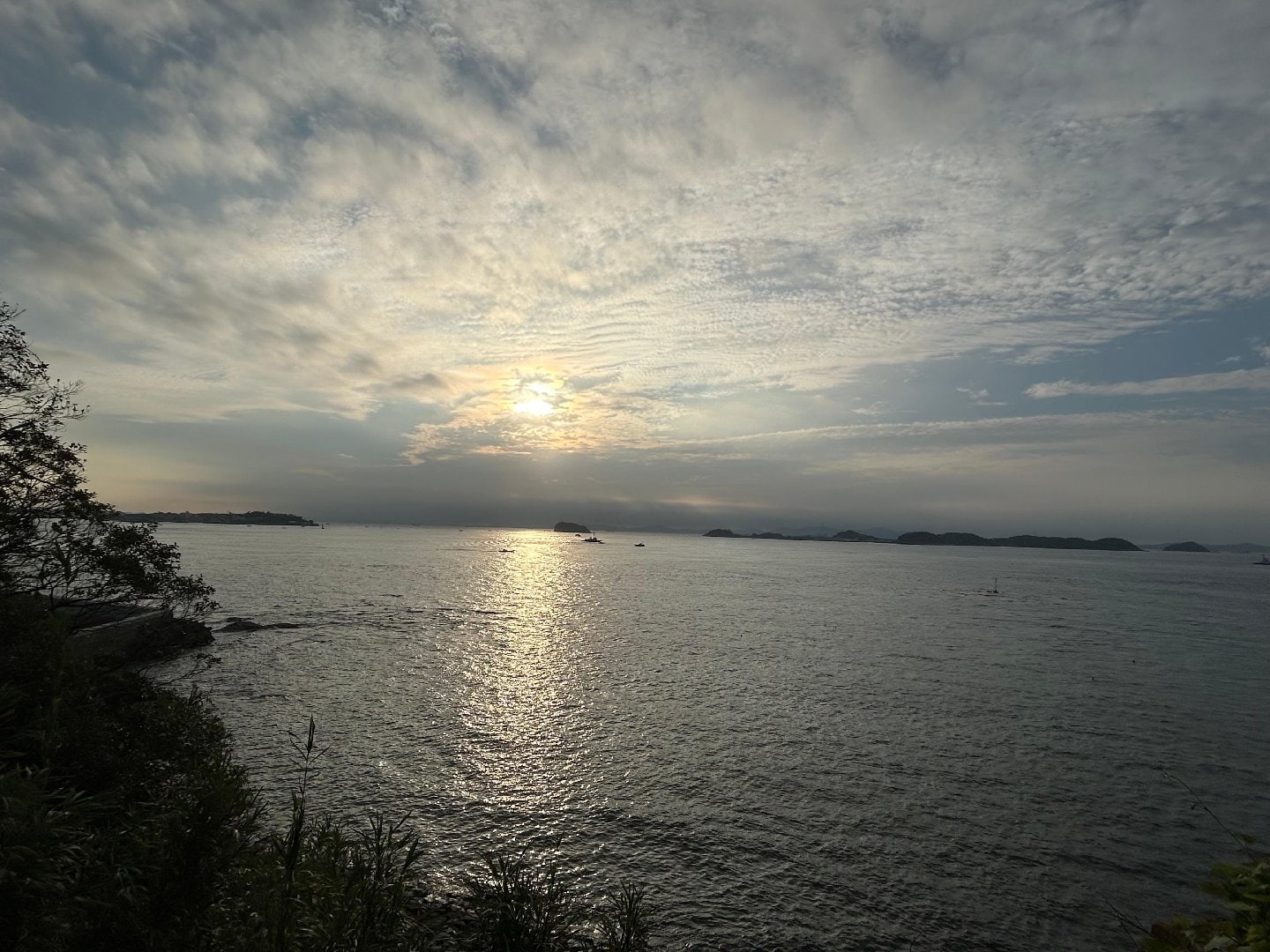064FC57E-D5C3-4FCF-95FD-7E5707267816.jpeg