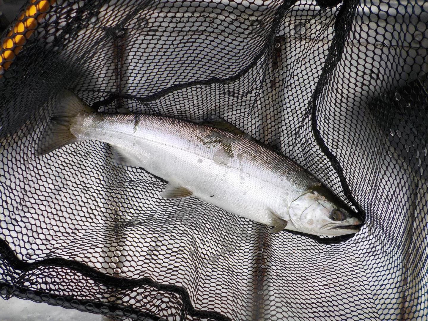DSCN7866.JPG