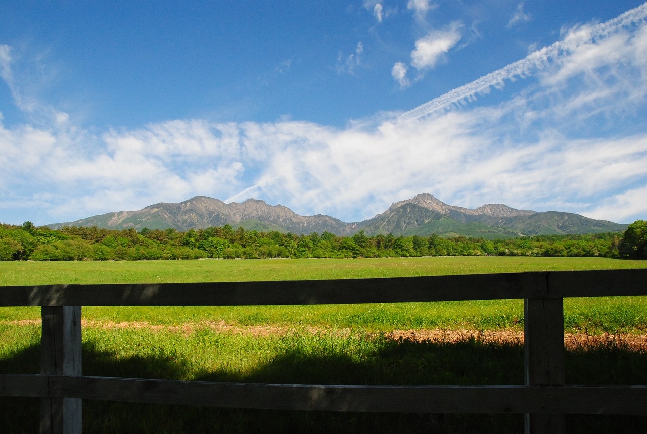 *When you think of plateaus, you think of pasture and mountains!