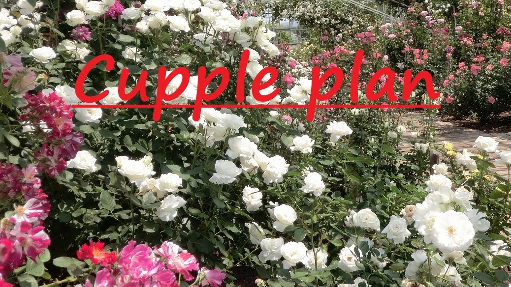 Couple Plan