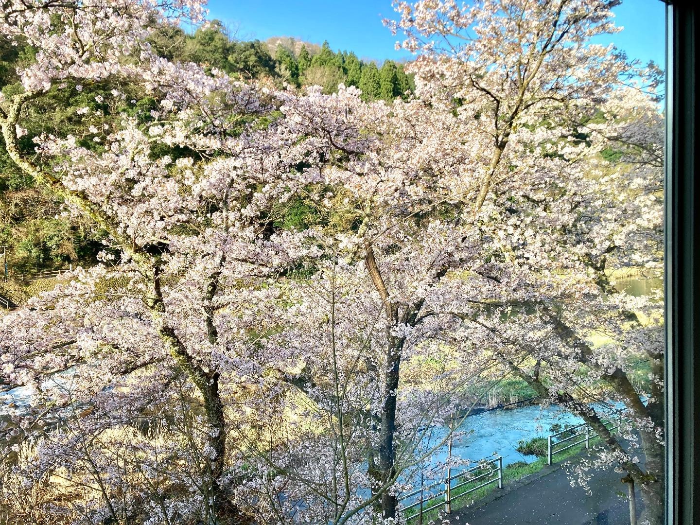 IMG_0877.jpeg