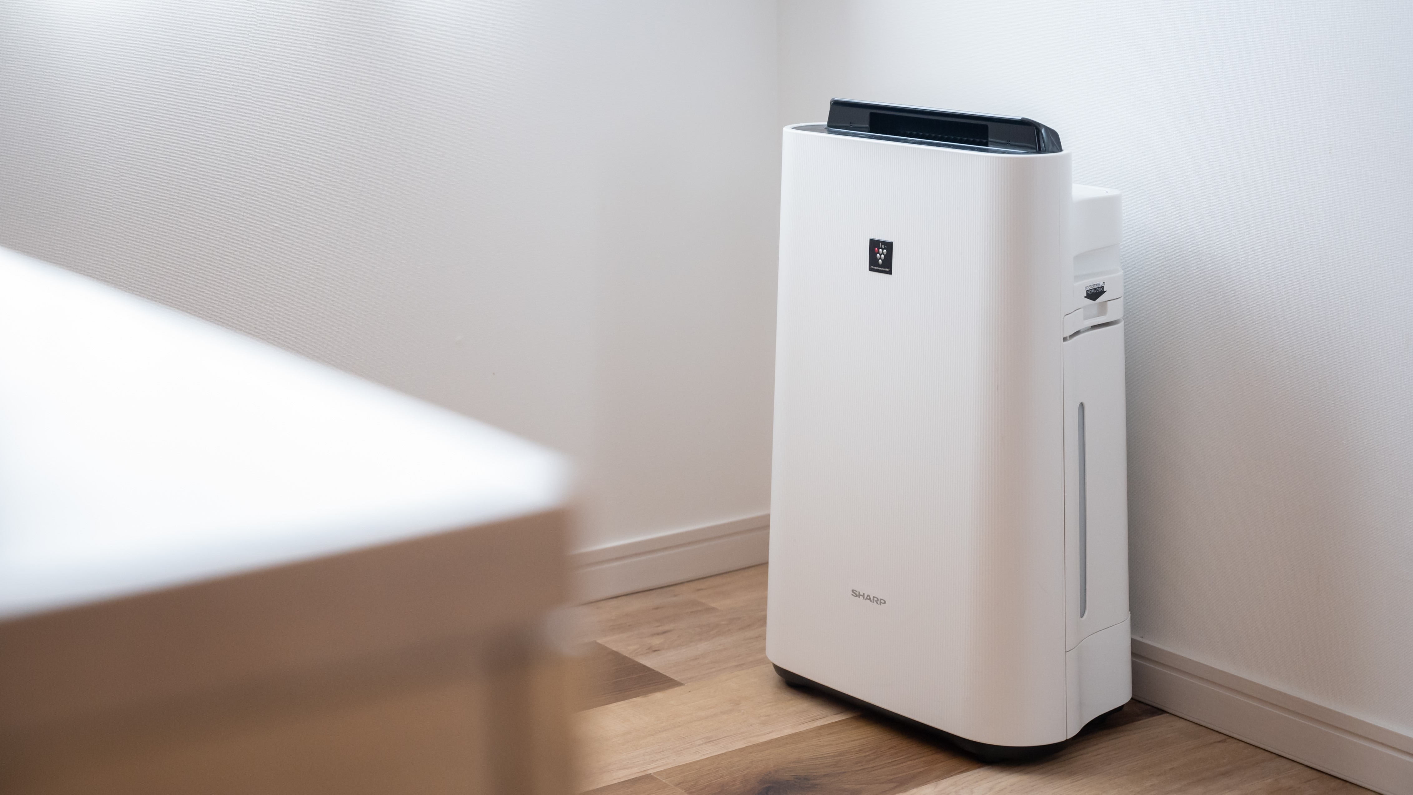 Air purifier with humidifier