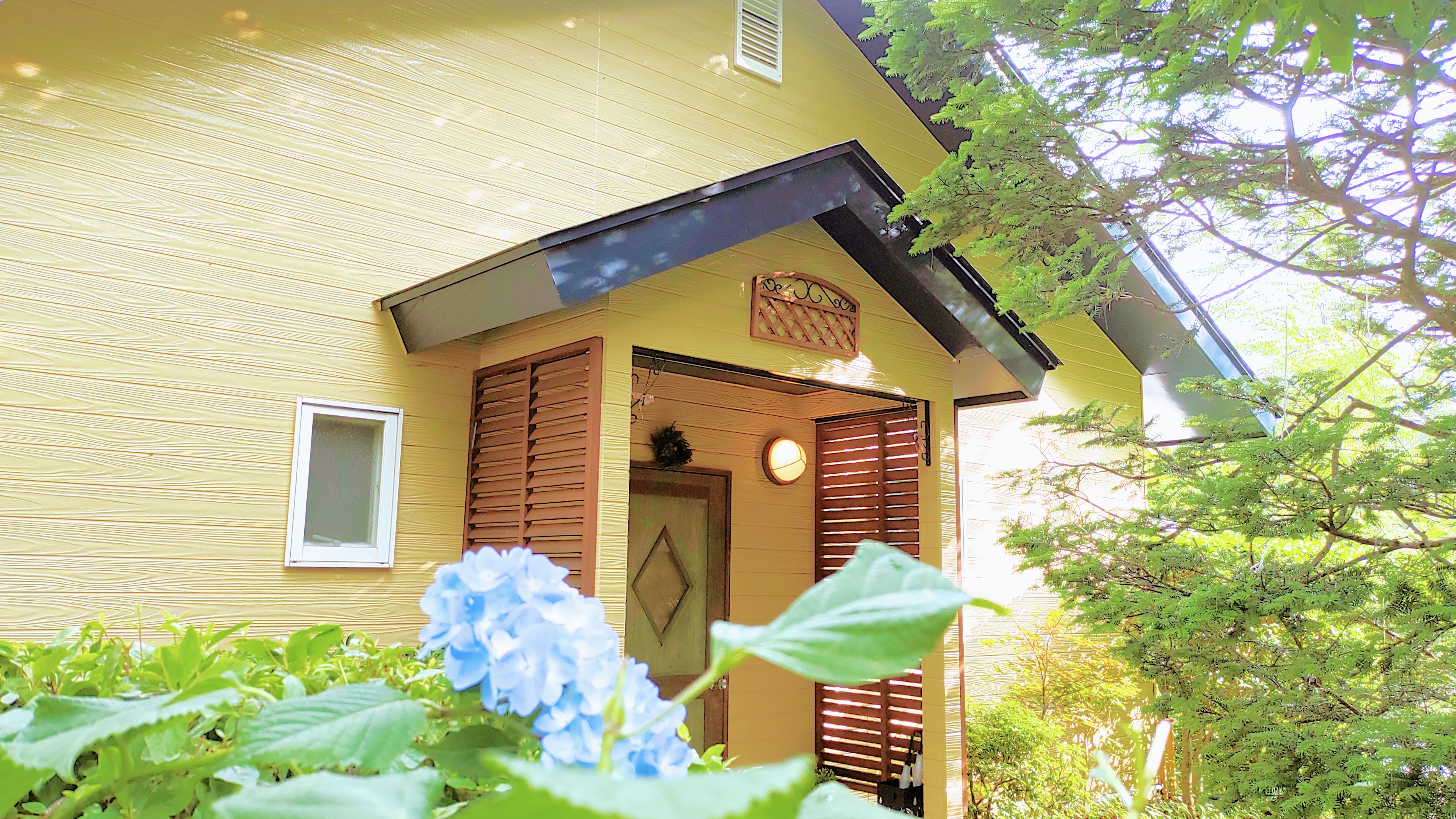 森林小屋