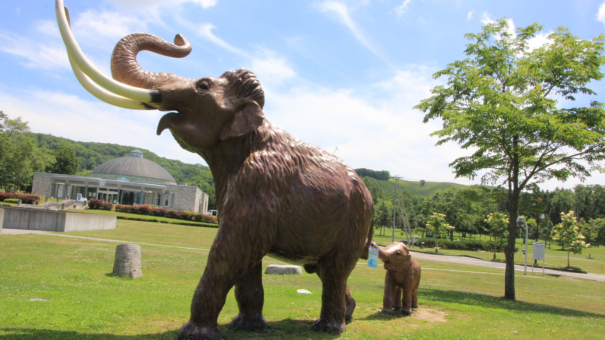 Naumann elephant parent and child in front of the memorial hall