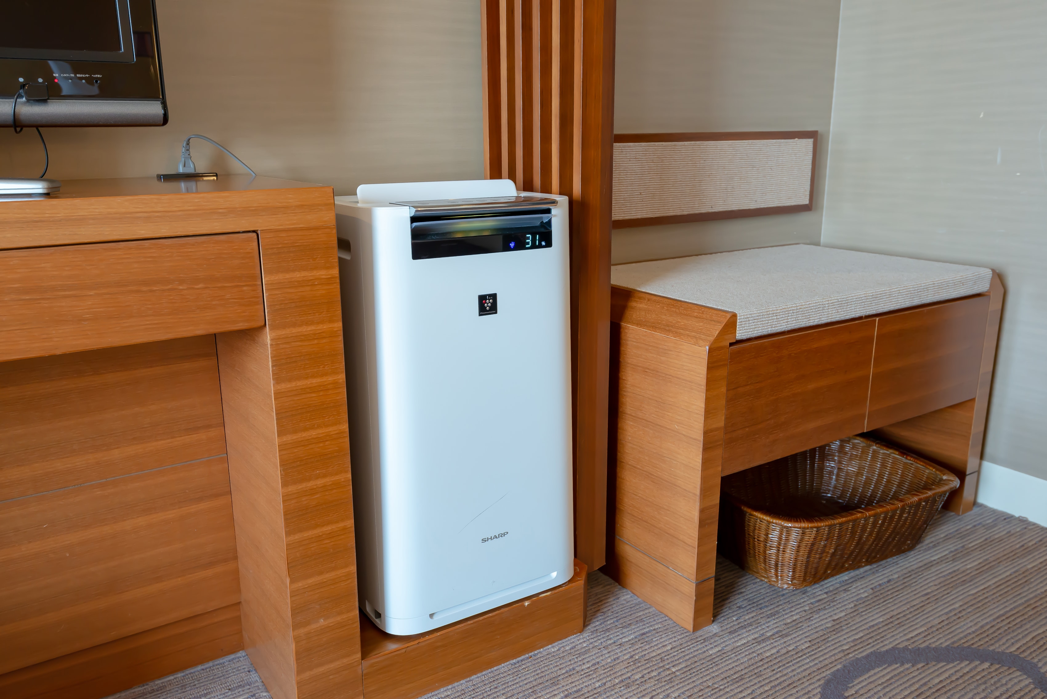 Air purifier humidifier