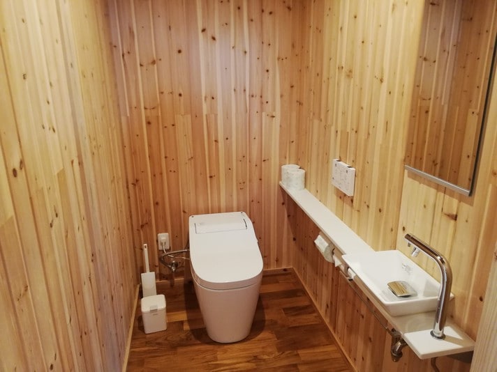 Flush toilet and hand washing facility