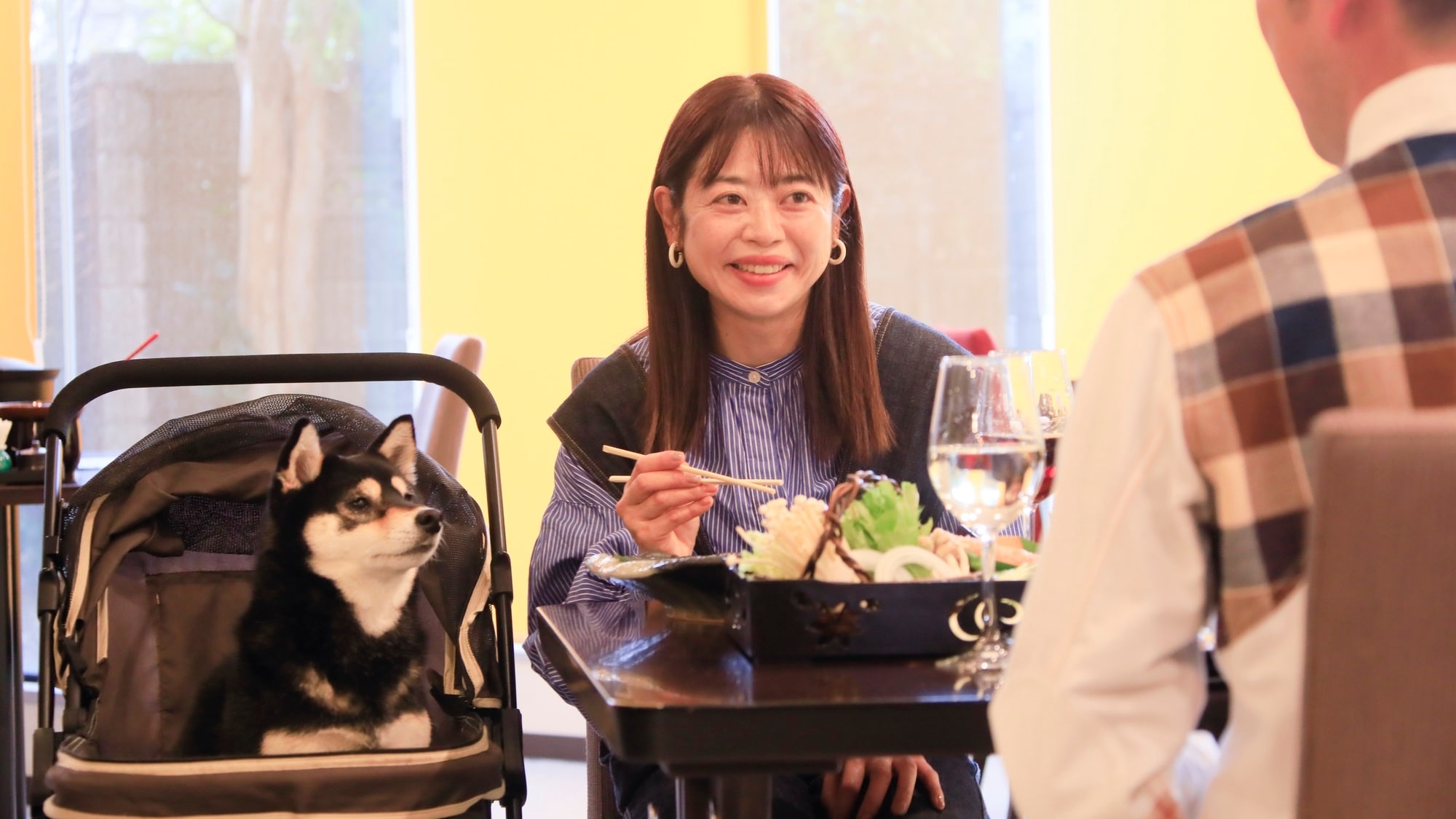 [Restaurant] We also have dog buggy rentals (example)