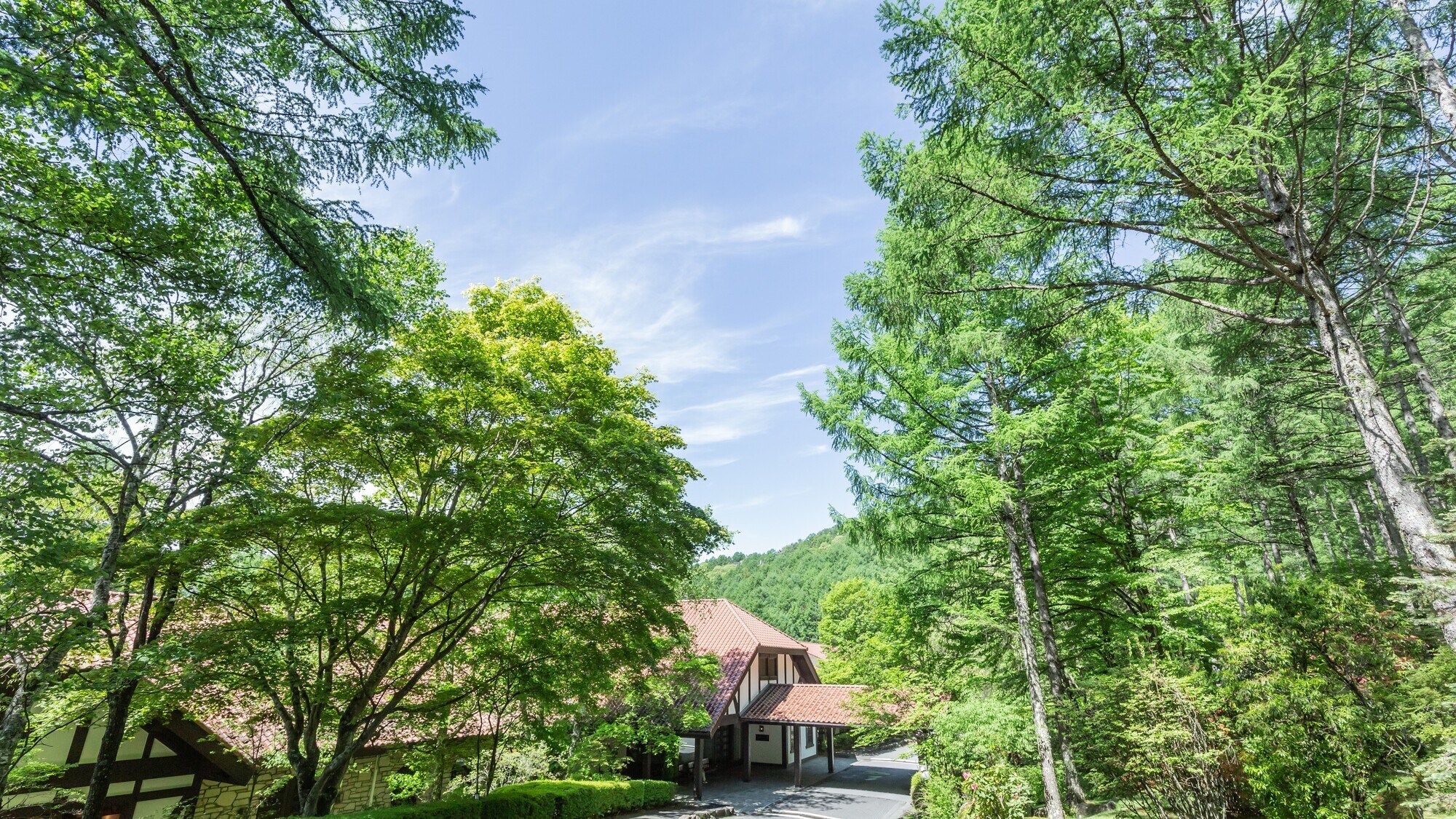 The exterior is surrounded by fresh greenery