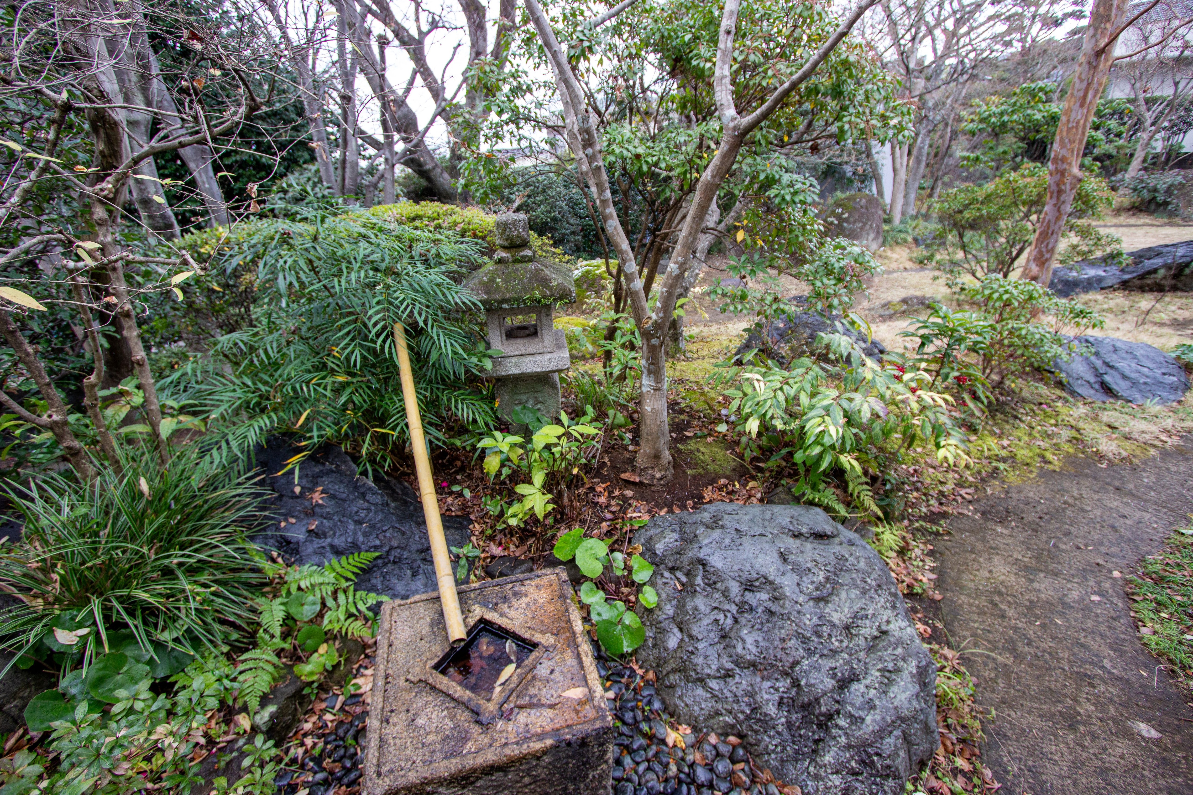 garden