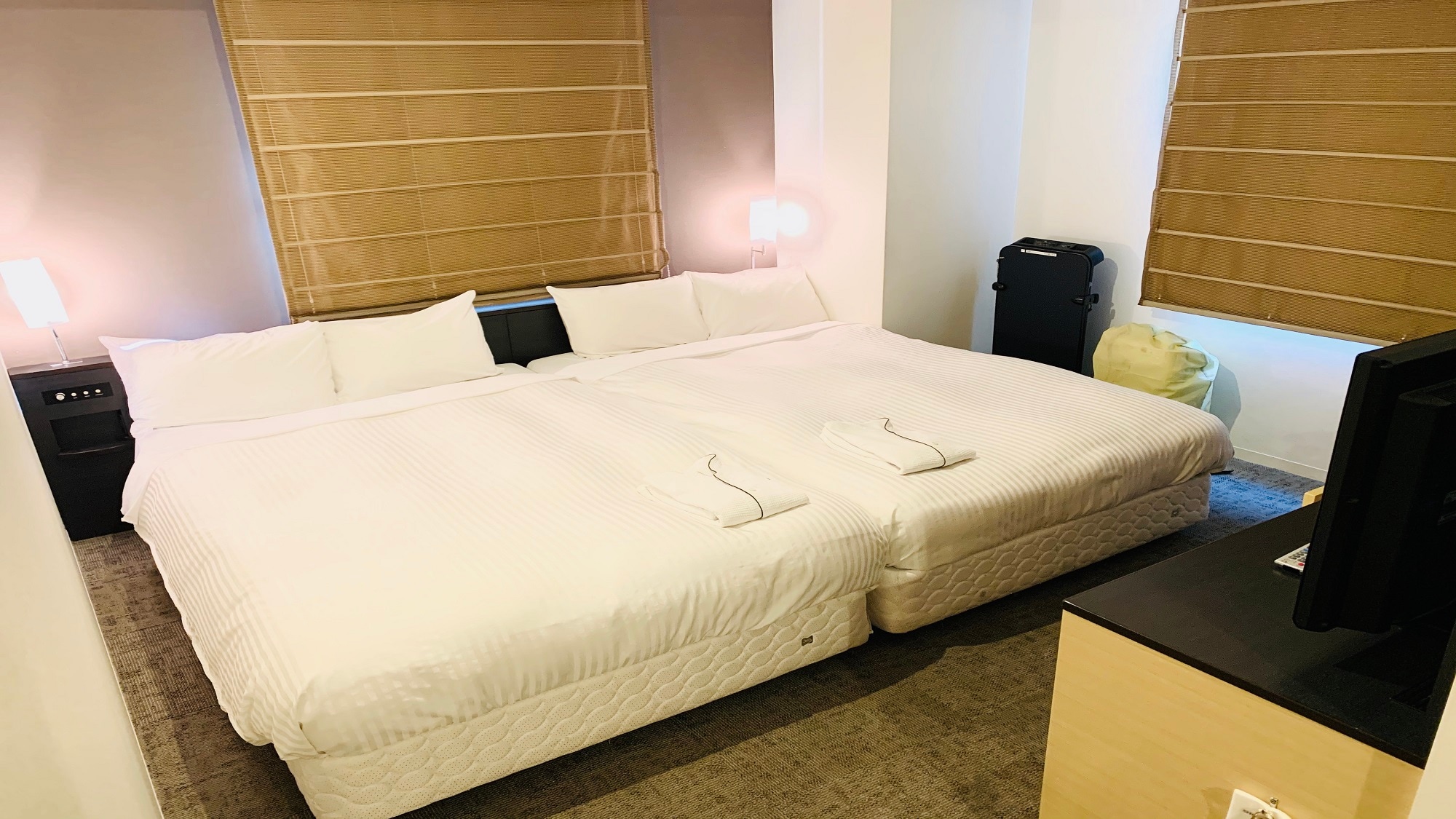 Twin room 19.3 square meters Sealy bed introduced! Two 120 cm beds!