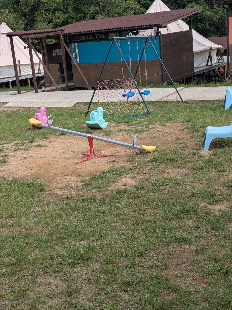 194.jpg