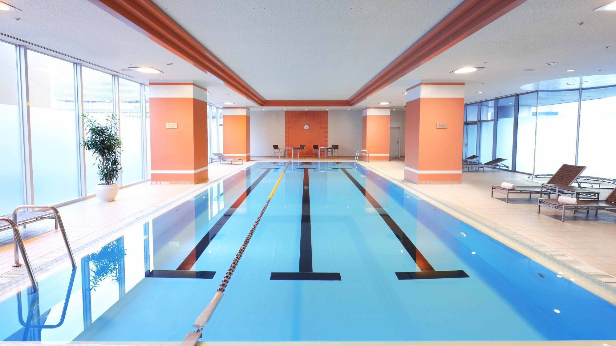 全年可使用的室內溫水游泳池（15m）