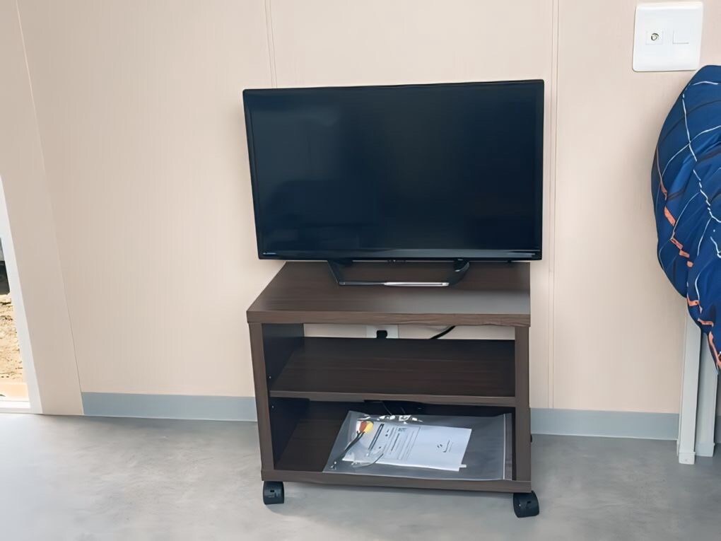 Tunerless TV