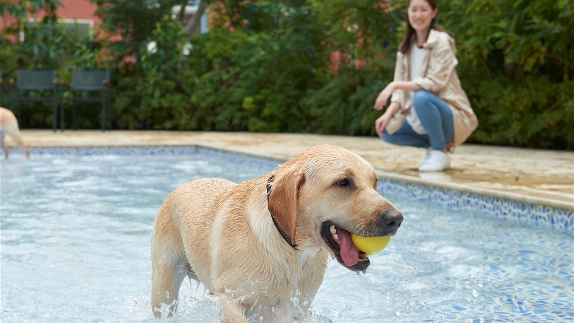 You can watch over your pet dog who loves playing in the water nearby.