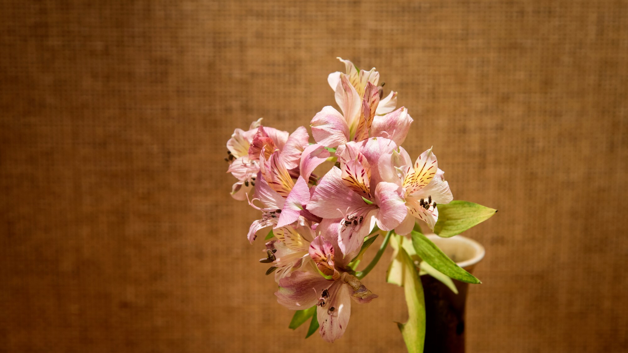 Feel the change of seasons through fresh flowers.