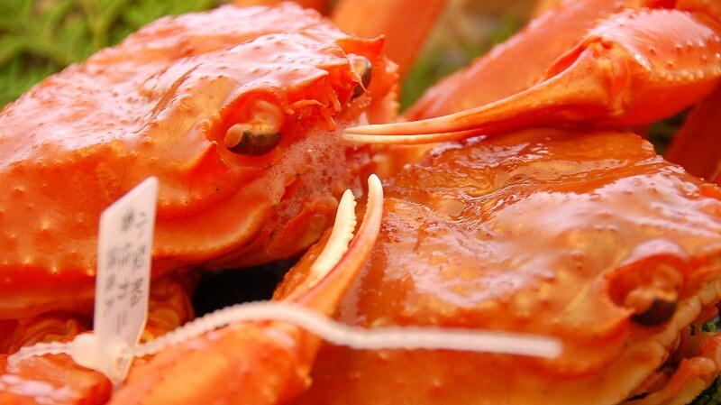 Kasumi crab